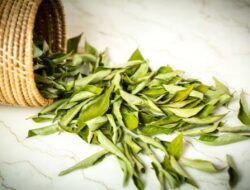 Penurunan Berat Badan dan 6 Manfaat Kesehatan Lain dari Daun Kari