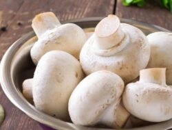 5 Manfaat Jamur yang Terbukti Secara Ilmiah dan akan Membuat Anda Ingin Segera Menyantapnya