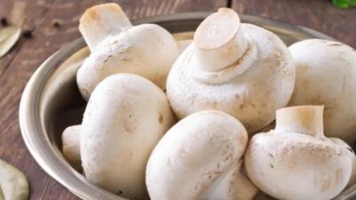 5 Manfaat Jamur yang Terbukti Secara Ilmiah dan akan Membuat Anda Ingin Segera Menyantapnya