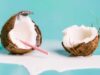 5 Cara Santan Kelapa yang Sederhana Dapat Memberikan Kulit dan Rambut yang Luar Biasa