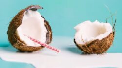 5 Cara Santan Kelapa yang Sederhana Dapat Memberikan Kulit dan Rambut yang Luar Biasa