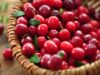 Cranberry: 9 Manfaat yang akan Membuat Anda Memasukkannya ke Dalam Pola Makan Anda