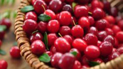 Cranberry: 9 Manfaat yang akan Membuat Anda Memasukkannya ke Dalam Pola Makan Anda