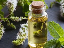 Minyak Peppermint adalah Solusi Rumahan yang Ampuh untuk Mengatasi Lingkaran Hitam! Simak Cara Penggunaannya