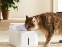 Xiaomi Meluncurkan Smart Pet Water Fountain Baru dengan Sterilisasi UV-C, Filter Empat Tahap, dan Tangki 3L