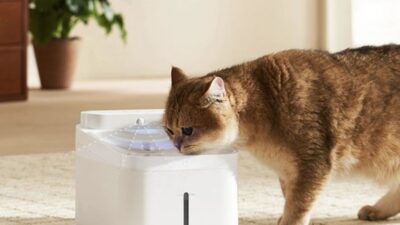 Xiaomi Meluncurkan Smart Pet Water Fountain Baru dengan Sterilisasi UV-C, Filter Empat Tahap, dan Tangki 3L