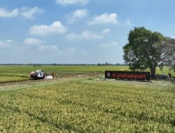 SHS Dorong Indonesia Bangun Kekuatan Genetika Tropis untuk Memperkuat Kemandirian Benih