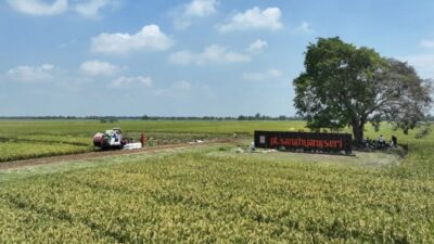 SHS Dorong Indonesia Bangun Kekuatan Genetika Tropis untuk Memperkuat Kemandirian Benih