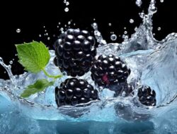 Berikut Ini 8 Manfaat Kesehatan Blackberry yang Perlu Anda Ketahui