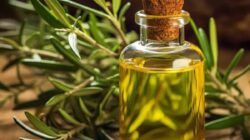 Mengalami Infeksi Jamur Kuku Kaki? Cobalah Minyak “Tea Tree” untuk Mengatasinya