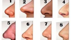 Tes Kepribadian: Ungkap Sesuatu tentang Kepribadian Anda dari Bentuk Hidung