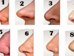 Tes Kepribadian: Ungkap Sesuatu tentang Kepribadian Anda dari Bentuk Hidung