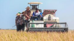 Hingga Agustus, Produksi Padi Jateng Capai 6,69 Juta Ton dari Target 10,5 Juta Ton