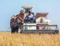 Hingga Agustus, Produksi Padi Jateng Capai 6,69 Juta Ton dari Target 10,5 Juta Ton