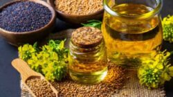 Rambut Anda Beruban? Gunakan Masker Rambut Minyak Mustard Ini untuk Mencegahnya