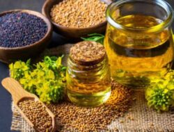Rambut Anda Beruban? Gunakan Masker Rambut Minyak Mustard Ini untuk Mencegahnya