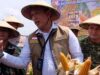 Tambahan 150 Ribu Ton SPHP Jagung hingga Akhir 2026, Penyaluran Bulog Capai 66 Persen