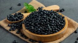 Apakah Kedelai Hitam Sehat untuk Dikonsumsi? Ini Penjelasannnya