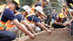 Perhutani Perkuat Kesejahteraan Masyarakat Desa Hutan Melalui Sinergi Hutan Lestari