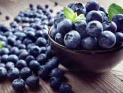 Berikut Ini 5 Alasan Luar Biasa untuk Menambahkan Blueberry Dalam Pola Makan Anda