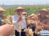 Plt Bupati Sukoharjo Dampingi Gubernur Jateng Panen Jagung di Desa Karanganyar
