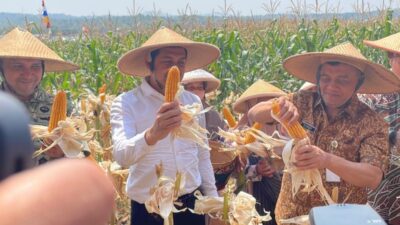 Plt Bupati Sukoharjo Dampingi Gubernur Jateng Panen Jagung di Desa Karanganyar