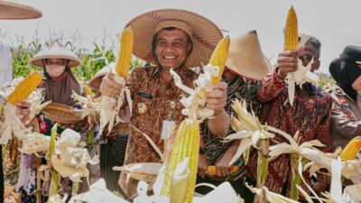 Jateng Kukuhkan sebagai Lumpung Pangan Nasional, Produksi Jagung Sudah Capai 2,68 Juta Ton