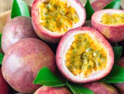 Sejumlah Manfaat Kesehatan Buah Markisa yang Mengejutkan!