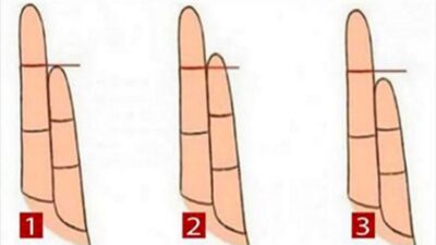 Tes Kepribadian: Ungkap Banyak Rahasia tentang Kepribadian Anda dari Panjang Jari Manis