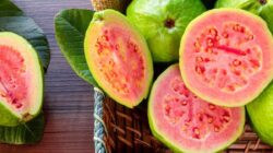 Berikut Ini 6 Manfaat Kesehatan dari Jambu Biji Merah, Buah yang Aman Bagi Penderita Diabetes