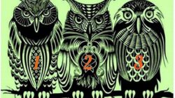 Tes Psikologi: Pilih Burung Hantu Favorit dan Terimalah Pesan Khusus untuk Anda