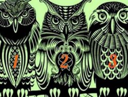 Tes Psikologi: Pilih Burung Hantu Favorit dan Terimalah Pesan Khusus untuk Anda
