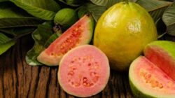 7 Manfaat Jambu Biji yang Mungkin Belum Anda Ketahui