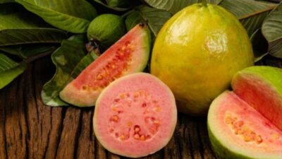 7 Manfaat Jambu Biji yang Mungkin Belum Anda Ketahui