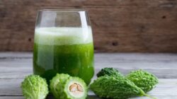 4 Makanan Pahit Ini Dapat Menurunkan Kadar Gula Darah Penderita Diabetes Secara Alami