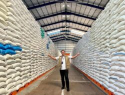Stok Beras Bulog Capai 4,5 Juta Ton, Unggul Jauh Dibanding Sejumlah Negara Asia Tenggara