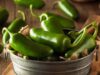 Sejumlah Manfaat Kesehatan Cabai Jalapeno yang Perlu Anda Ketahui