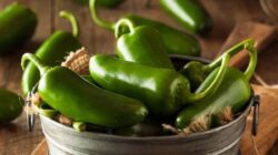 Sejumlah Manfaat Kesehatan Cabai Jalapeno yang Perlu Anda Ketahui