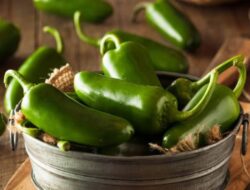 Sejumlah Manfaat Kesehatan Cabai Jalapeno yang Perlu Anda Ketahui